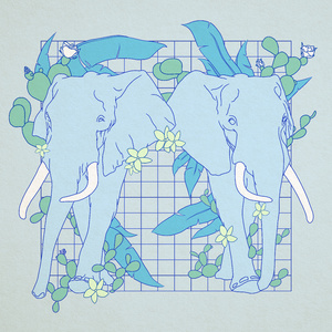 小伙子和老妇videos
