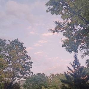 小伙子和老妇videos
